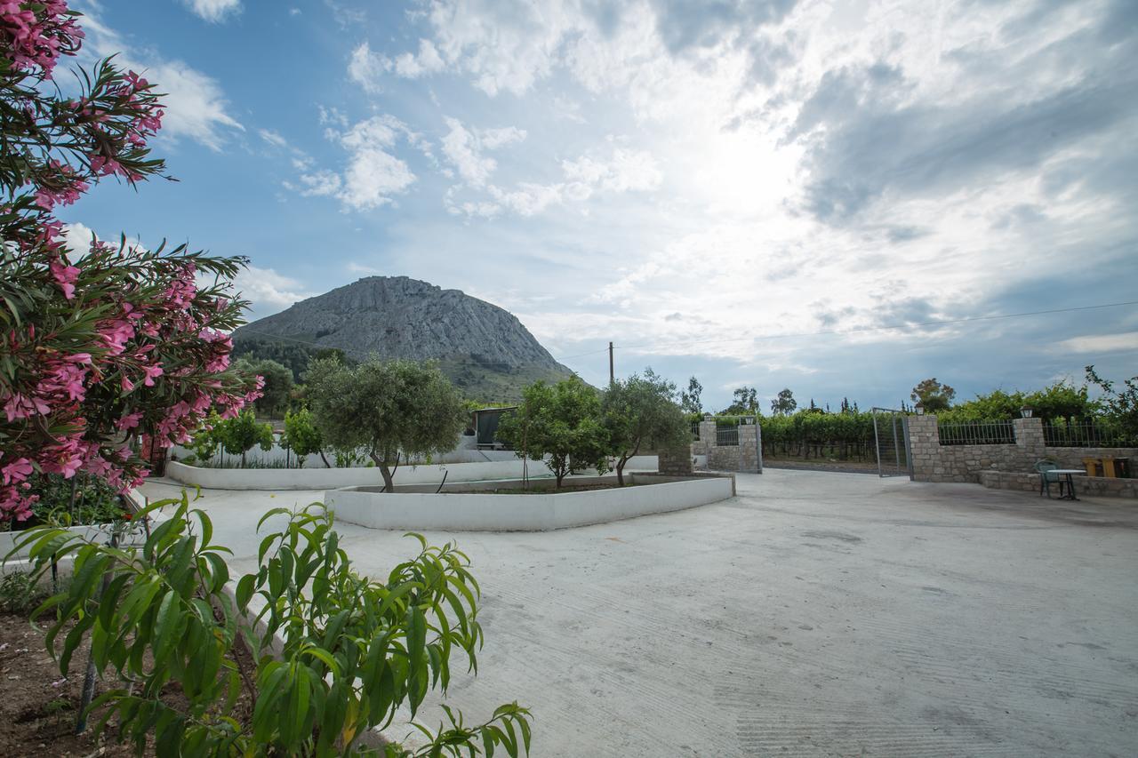 Acrocorinth Apartments Kültér fotó